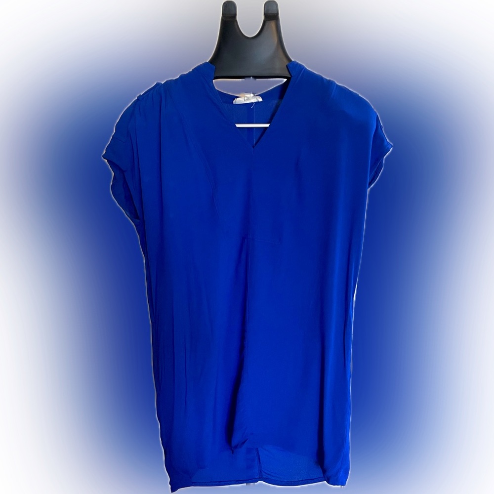 Vestique, Small, Royal Blue Dress